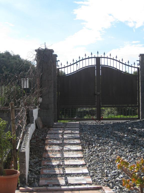 טרקסטאני Villa Nina מראה חיצוני תמונה